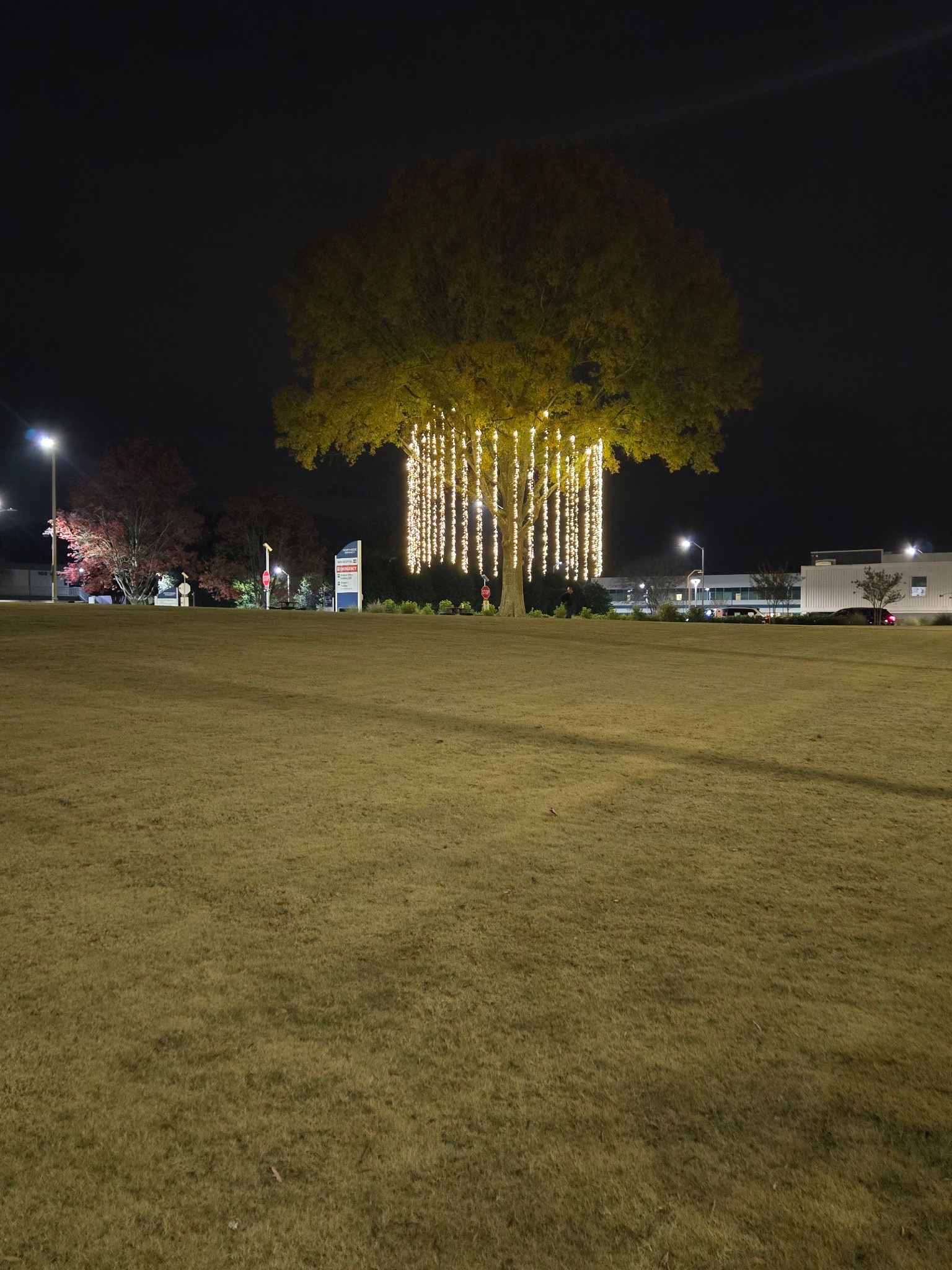 Holiday lighting installation