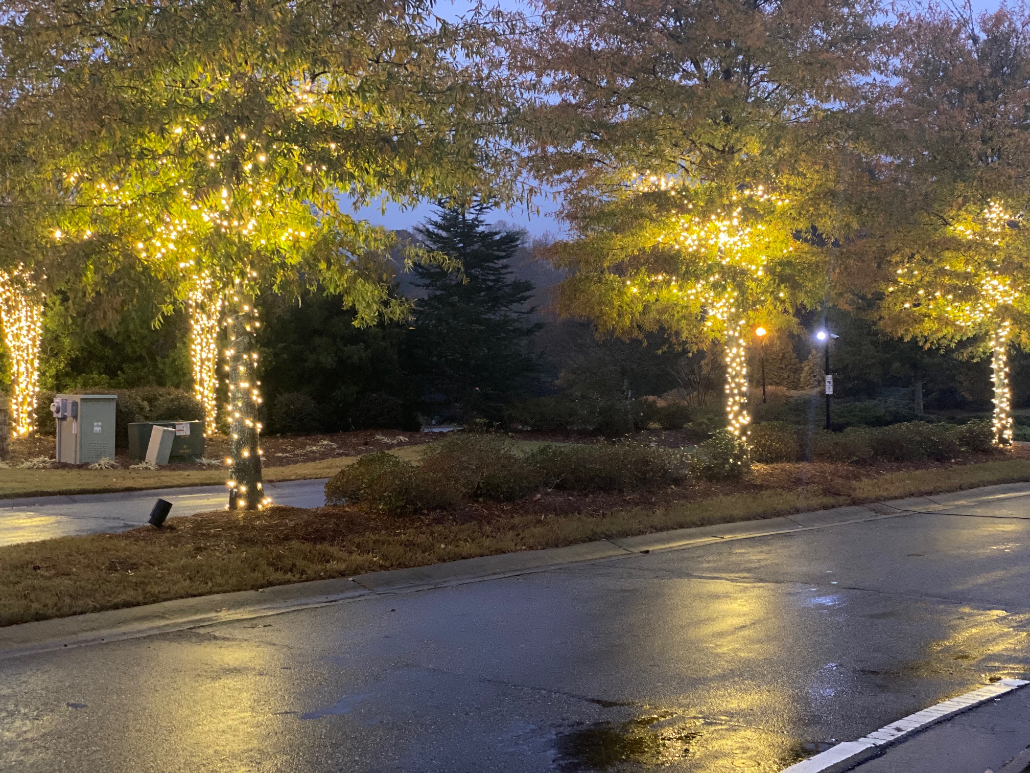 Holiday lighting installation