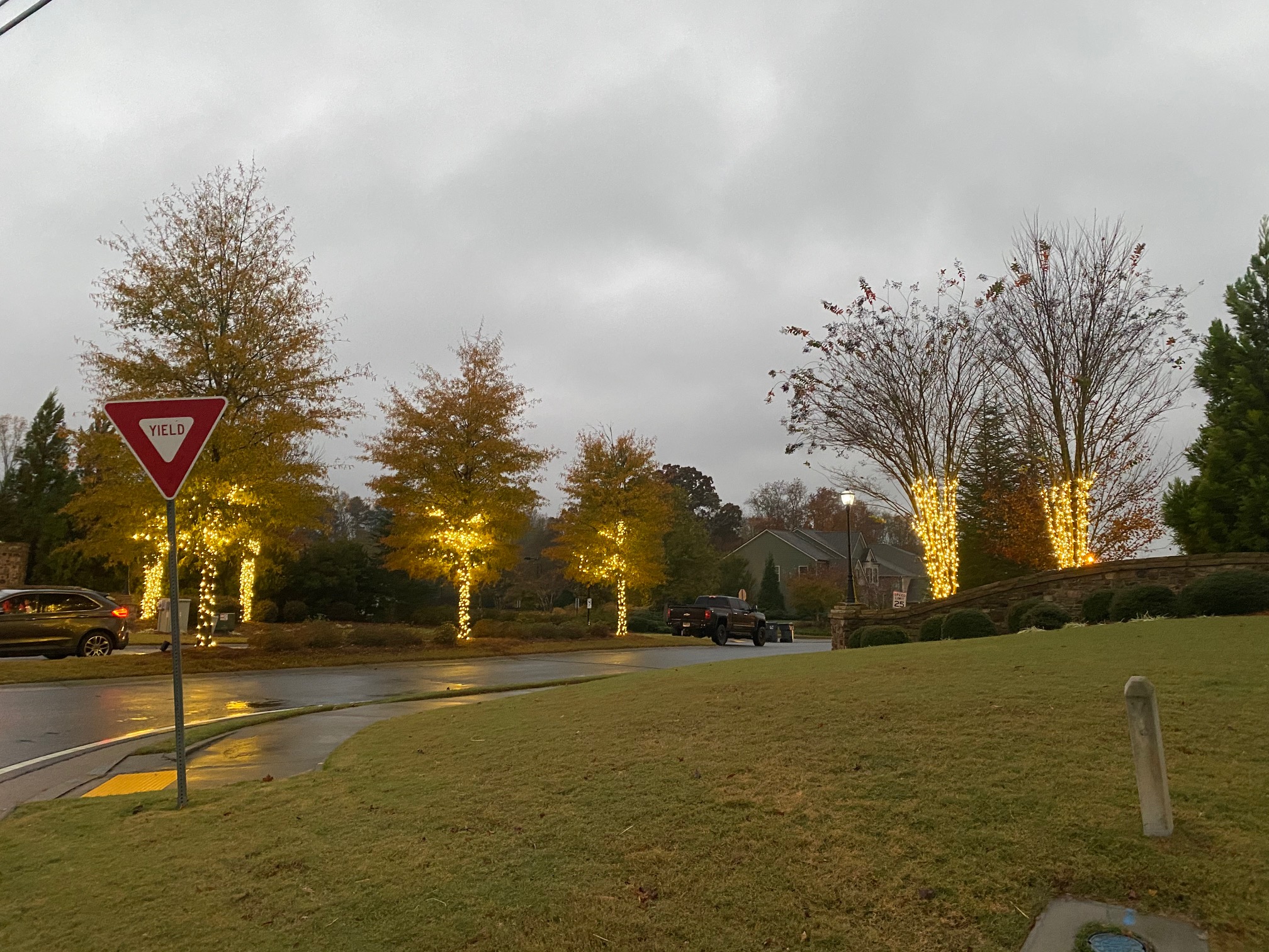 Holiday lighting installation