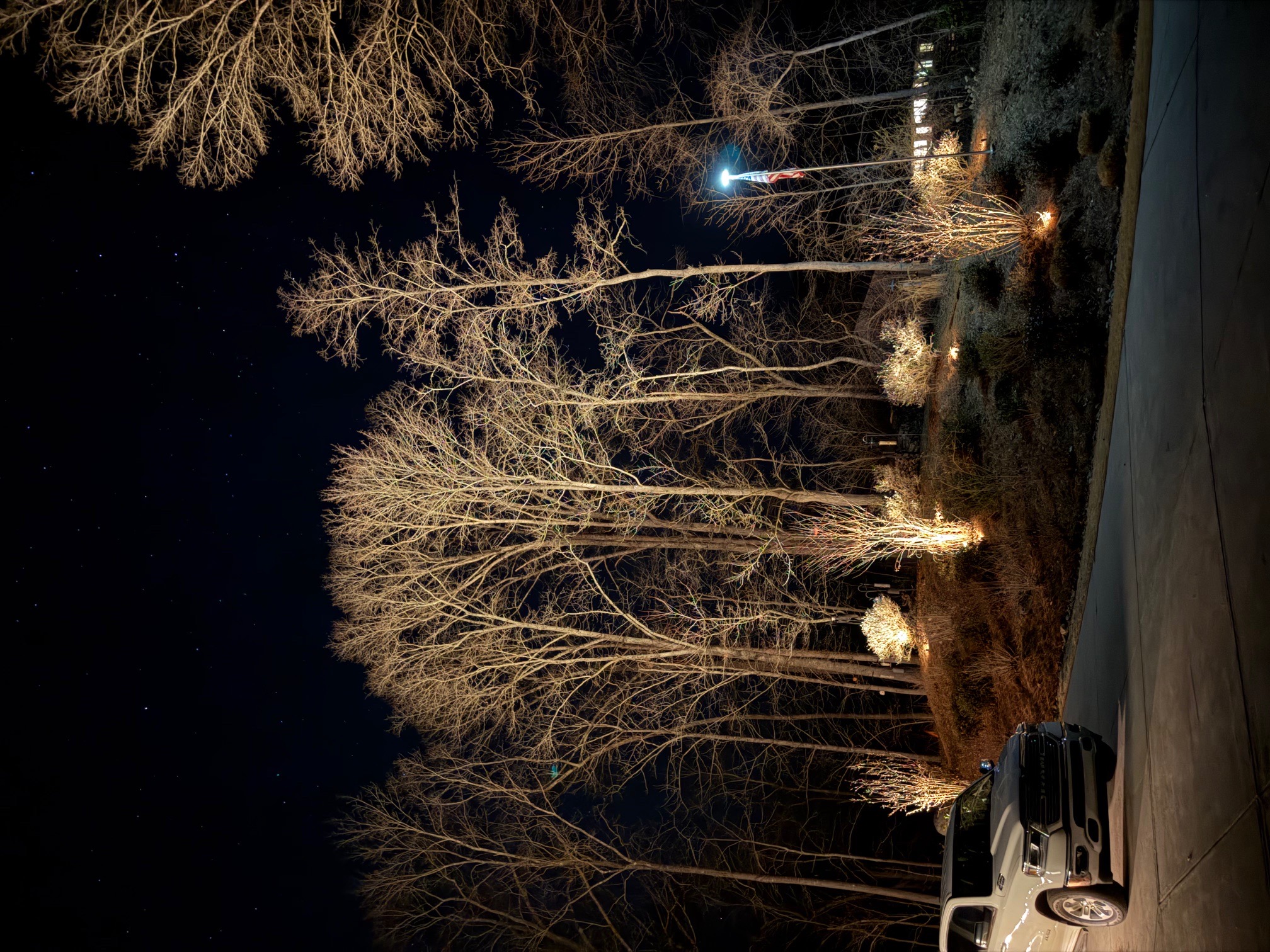 Landscape lighting installation