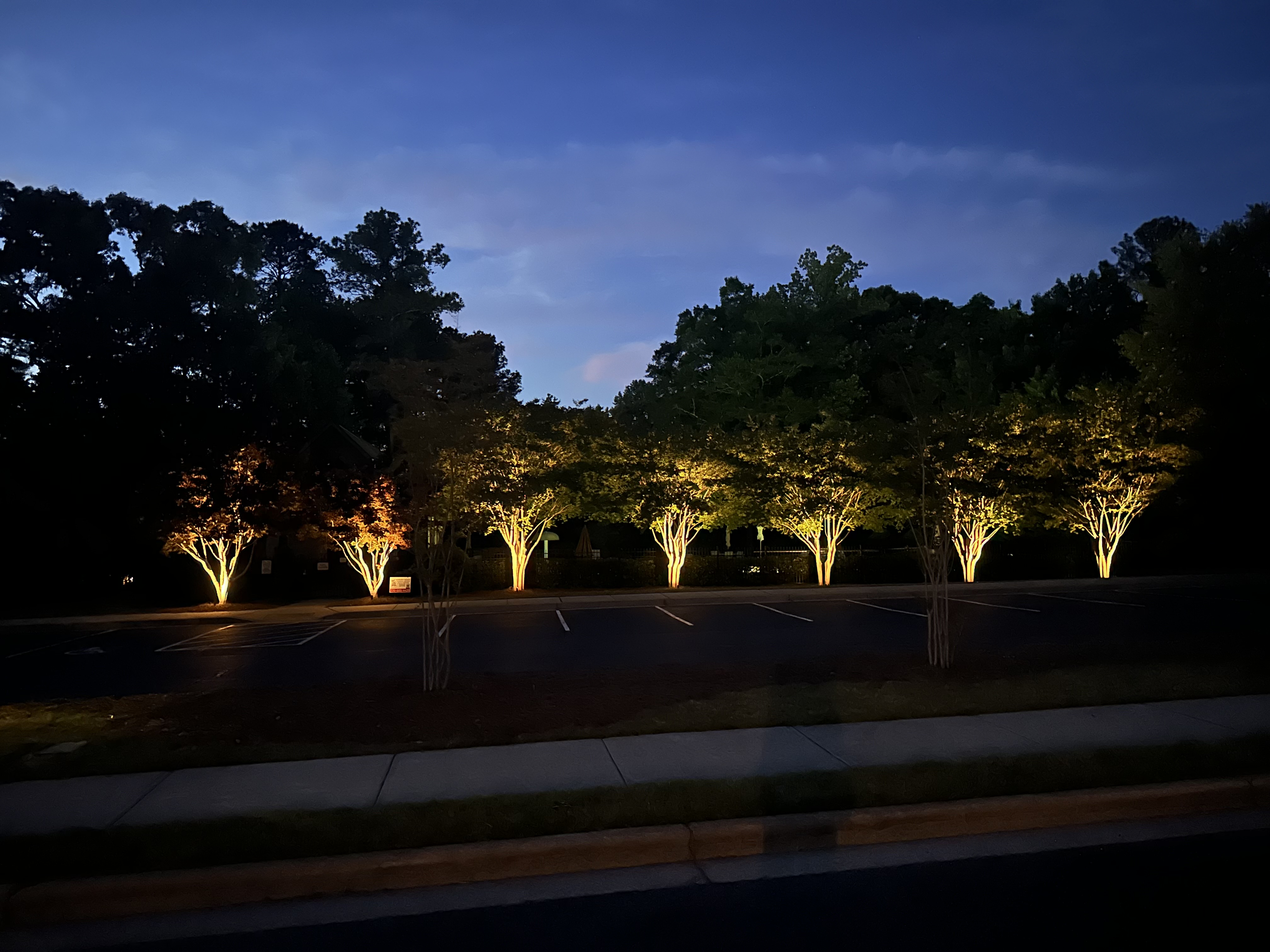 Landscape lighting installation